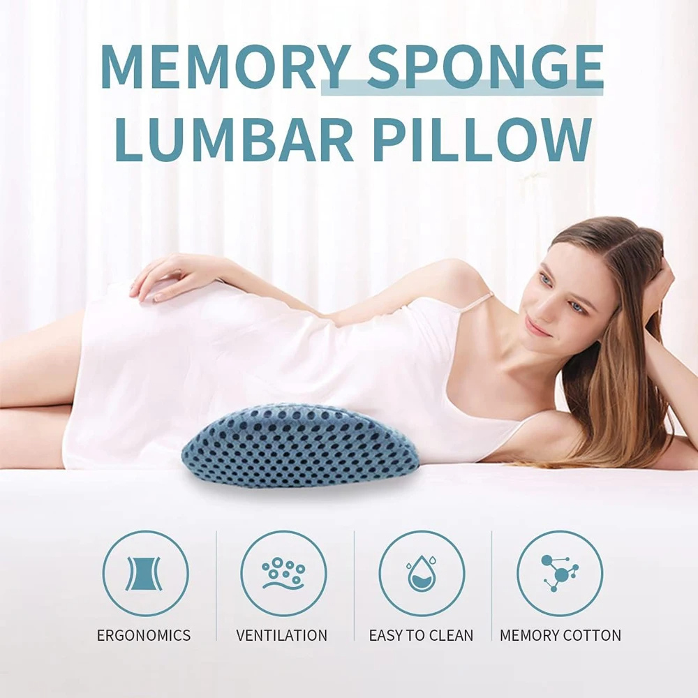 BottomDr Lumbar Support Back And Neck Pillow