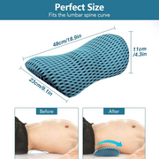 BottomDr Lumbar Support Back And Neck Pillow