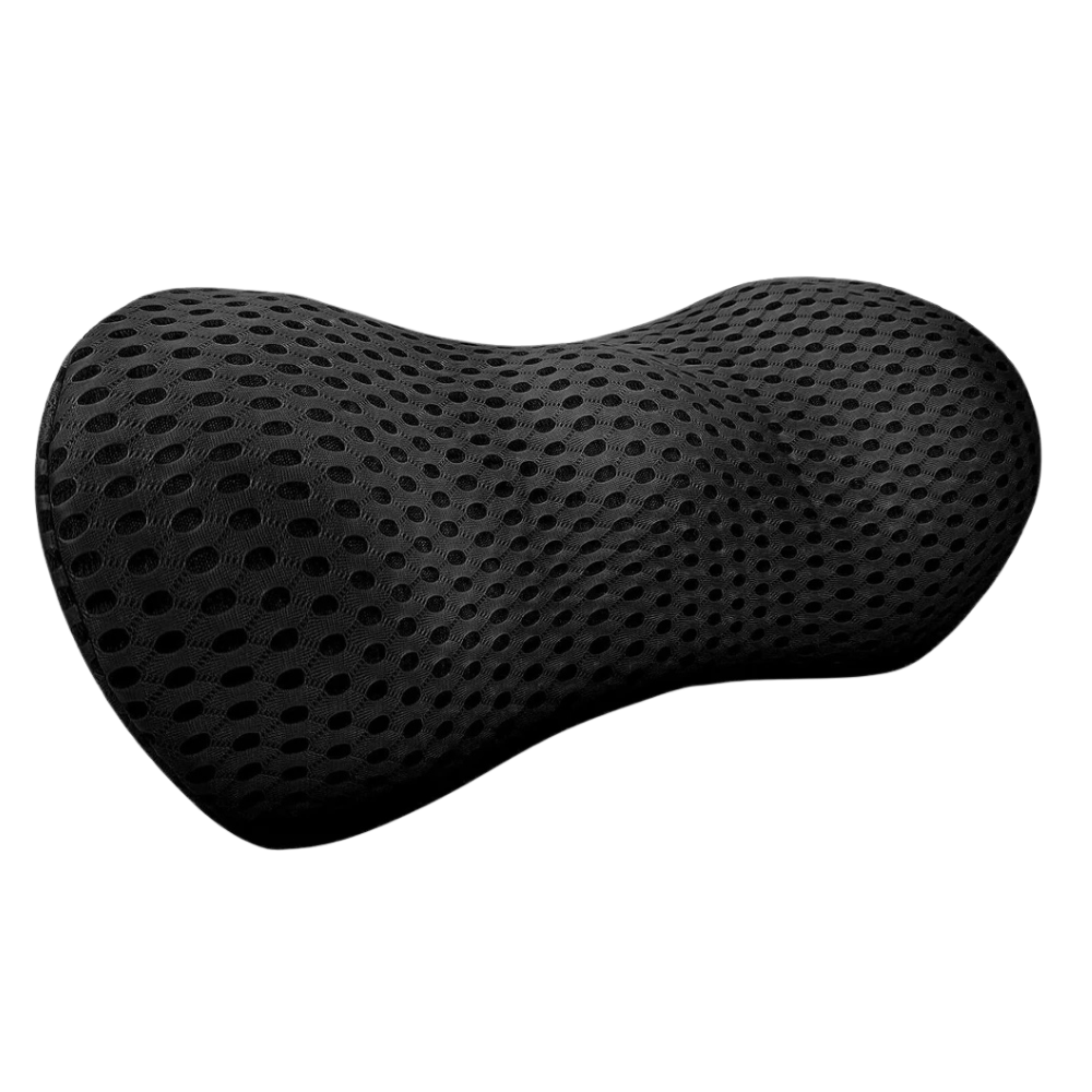 BottomDr Lumbar Support Back And Neck Pillow