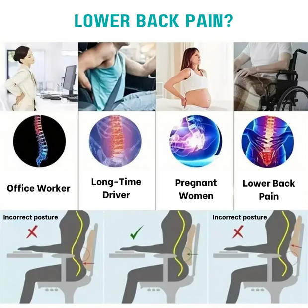 BottomDr Ergonomic S-Shaped Lumbar Support Pillow for Comfort and Relief