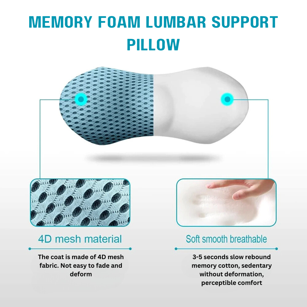 BottomDr Lumbar Support Back And Neck Pillow