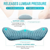 BottomDr Lumbar Support Back And Neck Pillow